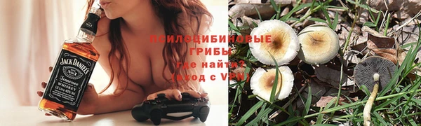 тгк Алексин
