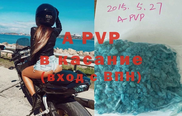 крисы Алзамай